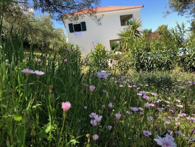 Kyparissia De Wandelboom Villa Vrises  Exterior photo