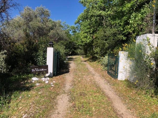 Kyparissia De Wandelboom Villa Vrises  Exterior photo